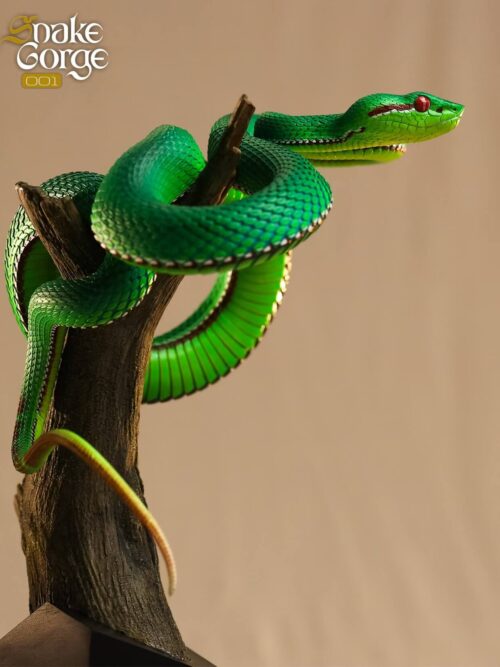 Gumprecht’s Green Pitviper 001 Resin Statue GK Resin Statue