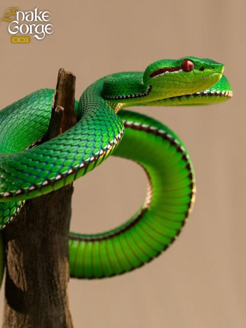 Gumprecht’s Green Pitviper 001 Resin Statue GK Resin Statue