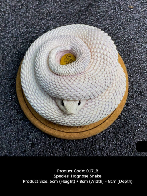 Hognose Snake Coiled Miniature GK Resin Statue