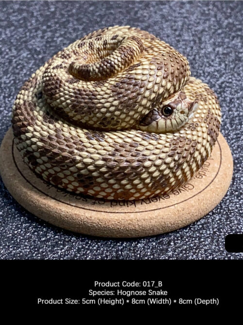 Hognose Snake Coiled Miniature GK Resin Statue