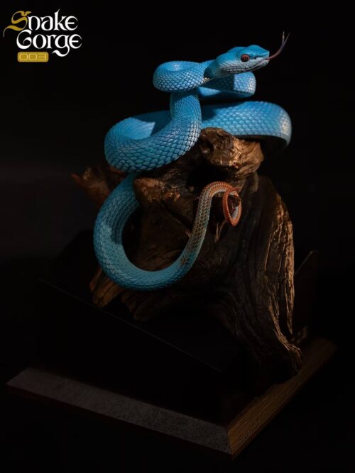 Indonesian Pit Viper Resin Statue 003 GK Resin Statue
