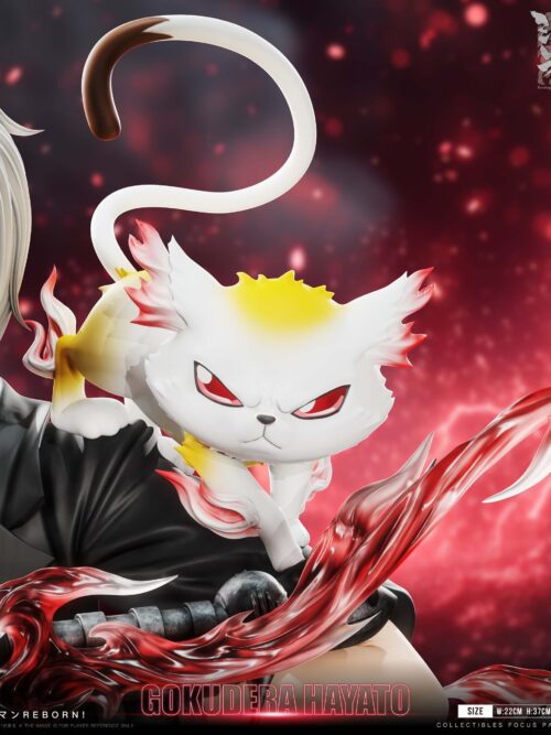 Katekyo Hitman Reborn Hayato Gokudera GK Resin Statue
