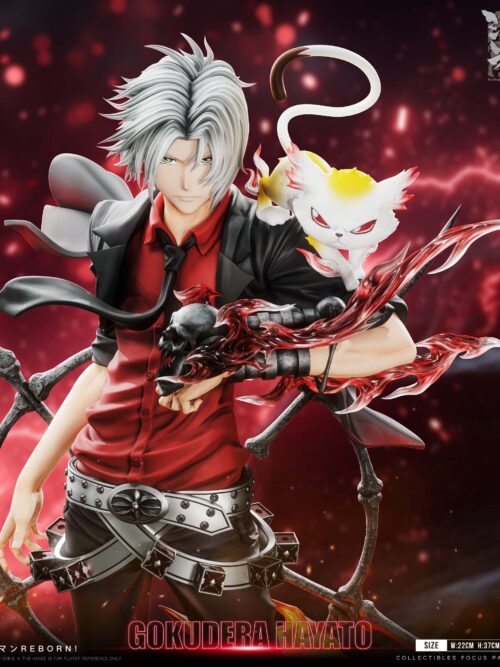 Katekyo Hitman Reborn Hayato Gokudera GK Resin Statue