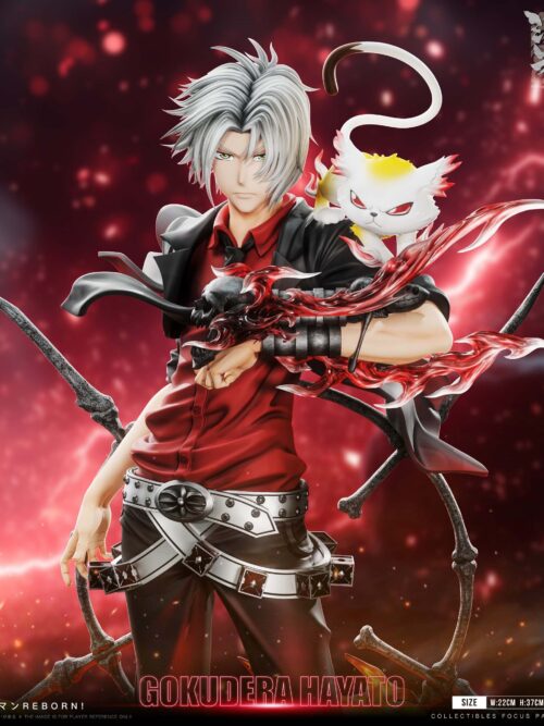 Katekyo Hitman Reborn Hayato Gokudera GK Resin Statue