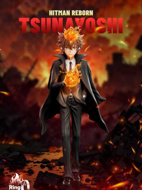 Katekyo Hitman Reborn Suit Standing Pose Series #1 Tsunayoshi Sawada GK Resin Statue