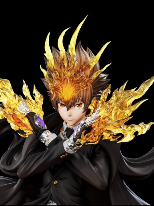Katekyo Hitman Reborn Tsunayoshi Sawada GK Resin Statue