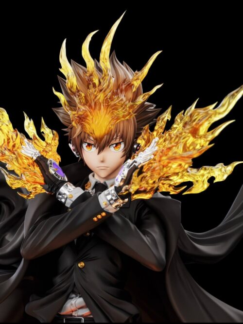 Katekyo Hitman Reborn Tsunayoshi Sawada GK Resin Statue