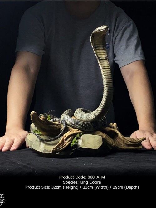 King Cobra GK Resin Statue