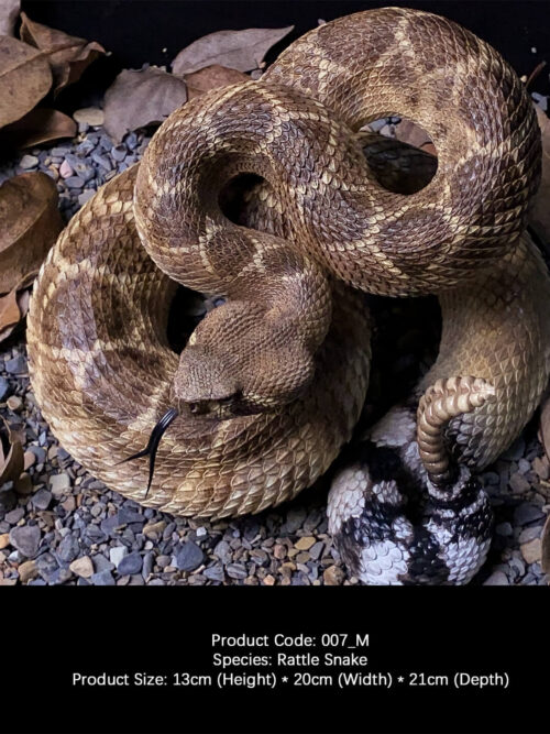 Western Diamondback Rattlesnake GK Resin Statue