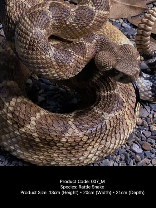 Western Diamondback Rattlesnake GK Resin Statue