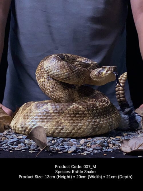 Western Diamondback Rattlesnake GK Resin Statue