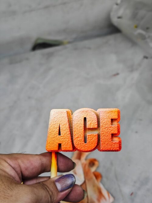 Whitebeard Pirates Resonance Series #2 Fire Fist Ace GK Resin Statue