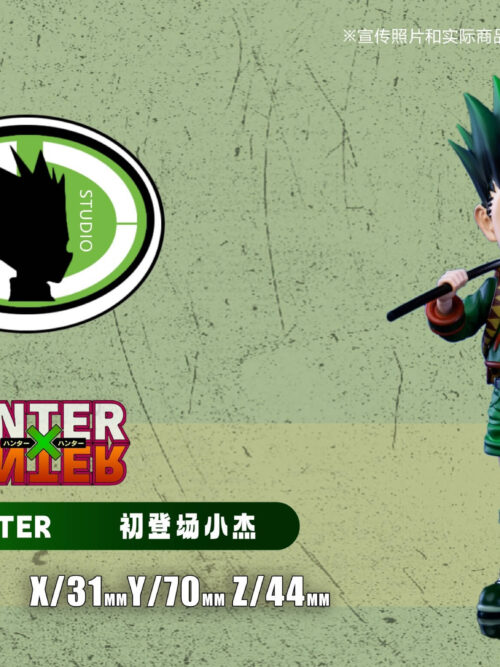 Gon Freecss GK Resin Statue