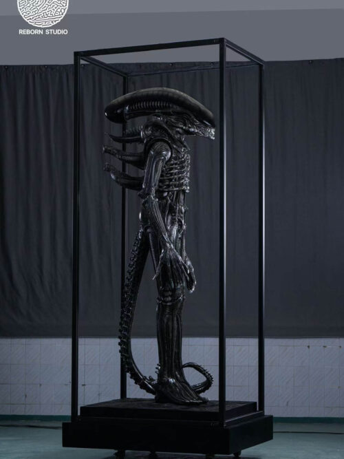 Museum Alien - REBORN Studio - Detail View 7