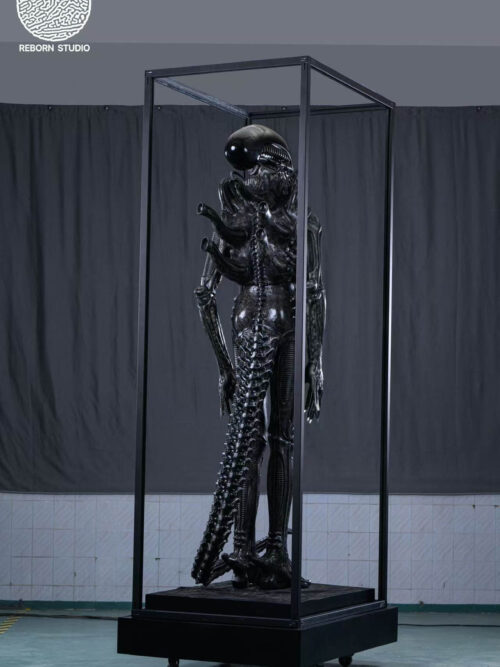 Museum Alien - REBORN Studio - Detail View 5