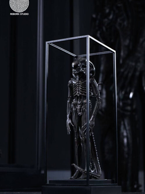 Museum Alien - REBORN Studio - Detail View 6