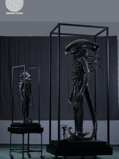 Museum Alien - REBORN Studio - Detail View 4