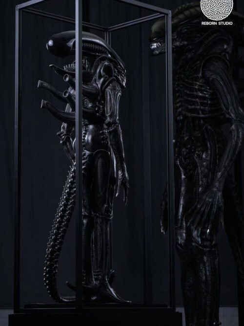 Museum Alien - REBORN Studio - Detail View 9