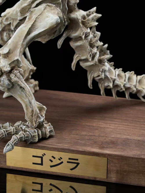 Original Godzilla (1954) Skeleton Fossil - Hardcore Studio - Detail View 2