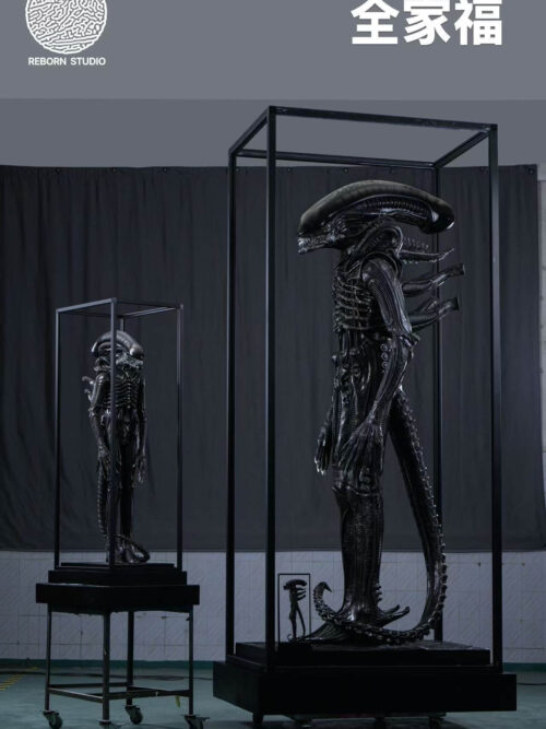 Museum Alien - REBORN Studio - Detail View 8
