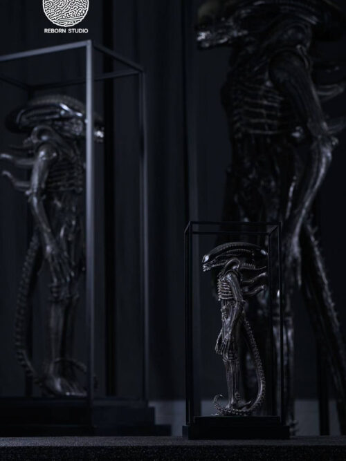 Museum Alien - REBORN Studio - Detail View 13