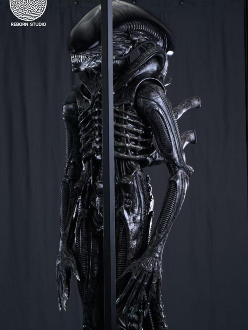 Museum Alien - REBORN Studio - Detail View 2