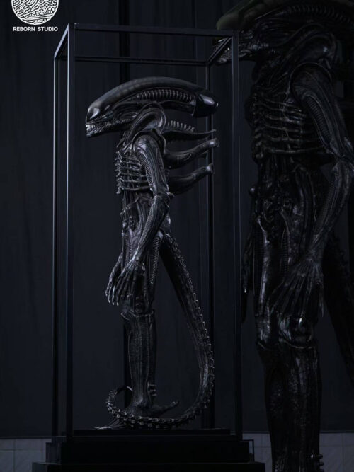 Museum Alien - REBORN Studio - Detail View 11