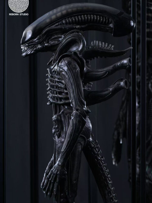 Museum Alien - REBORN Studio - Detail View 3