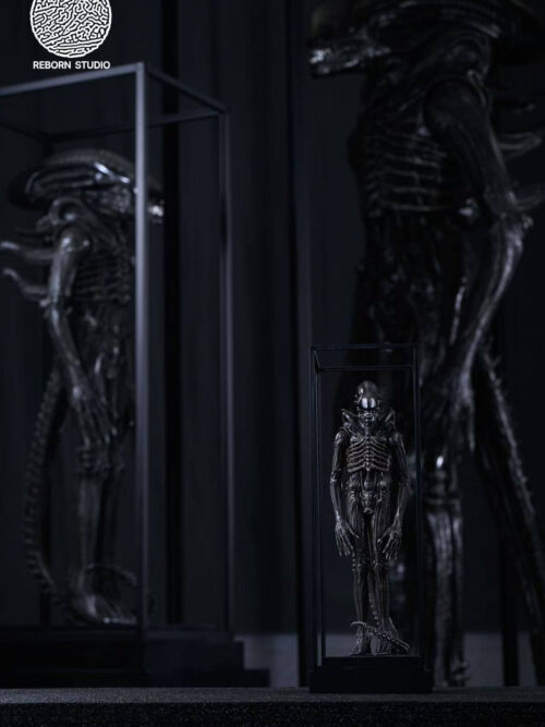 Museum Alien - REBORN Studio - Detail View 14