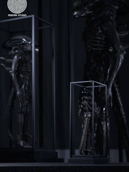 Museum Alien - REBORN Studio - Detail View 12