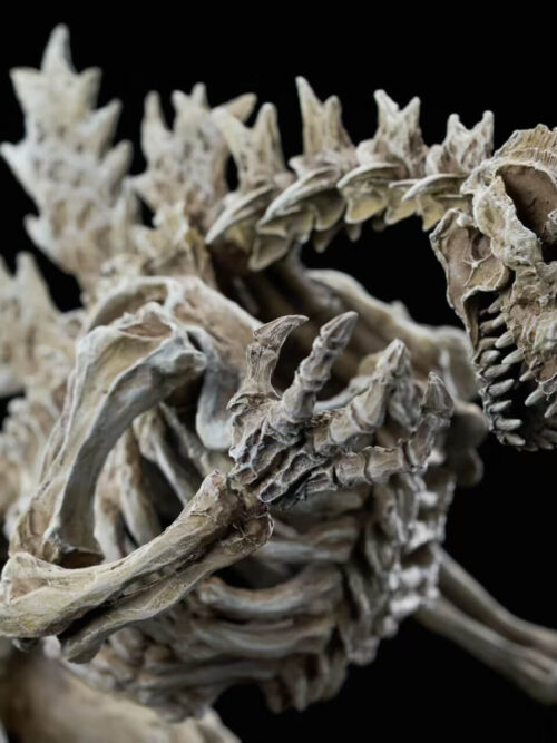 Original Godzilla (1954) Skeleton Fossil - Hardcore Studio - Detail View 6