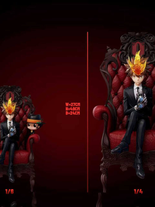 Series Vol.1 Tsunayoshi Sawada & Reborn - White Curse Studio - Detail View 5