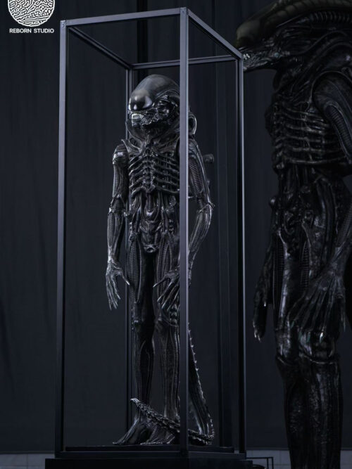 Museum Alien - REBORN Studio - Detail View 10