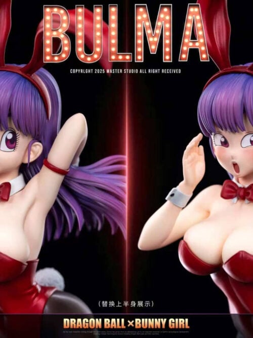 Dragon Ball Bulma - Master Studio - Detail View 5