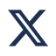 X (Twitter)