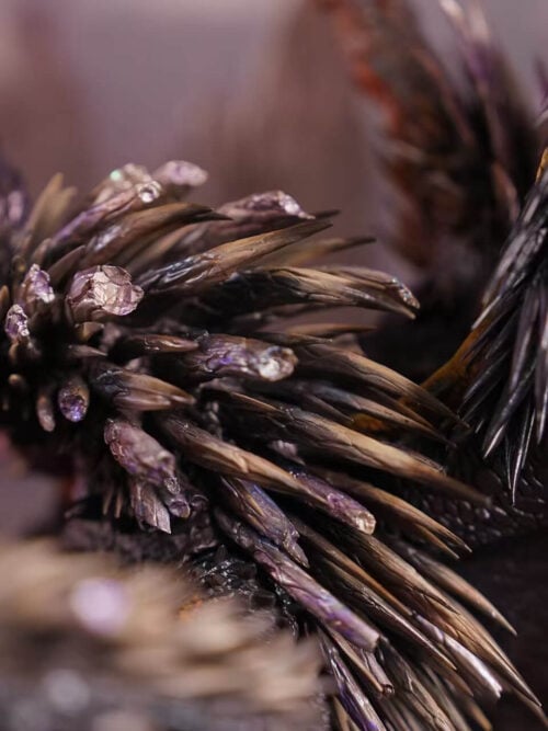 Ruiner Nergigante VS Shara Ishvalda - Detail View 9