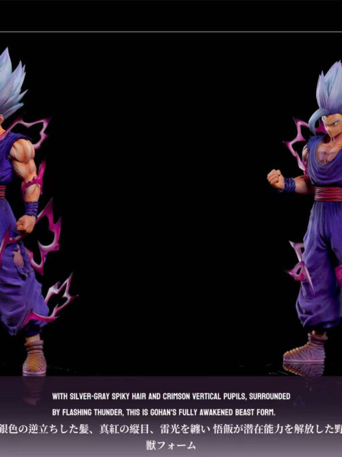 Dragon Ball Series Vol. 01 — Beast Son Gohan - Detail View 4