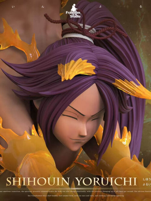 Bleach Series Vol. 03 Yoruichi Shihoin - Detail View 1