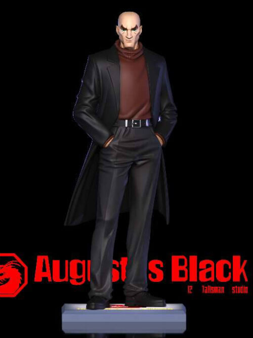 Jackie Chan Adventures Augustus Black - Collectible Figure Main View
