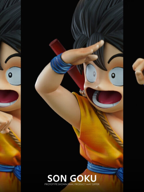 Son Goku - Detail View 12