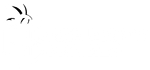 Collector Figures