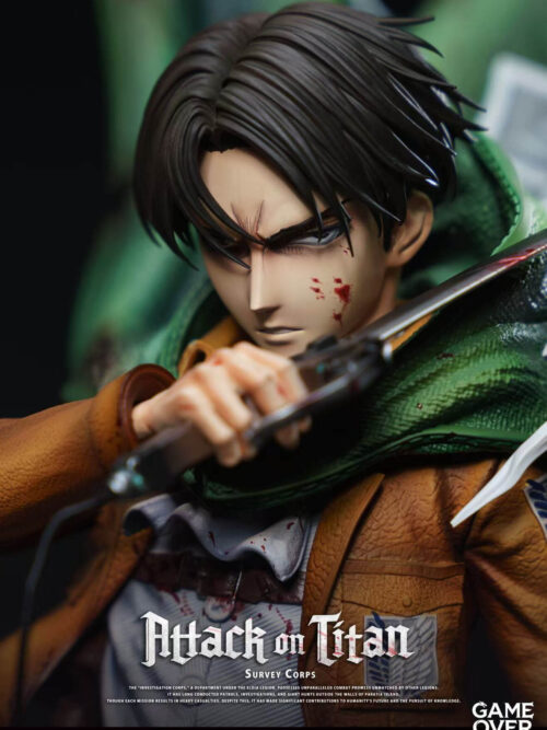 Levi Ackerman - Detail View 2