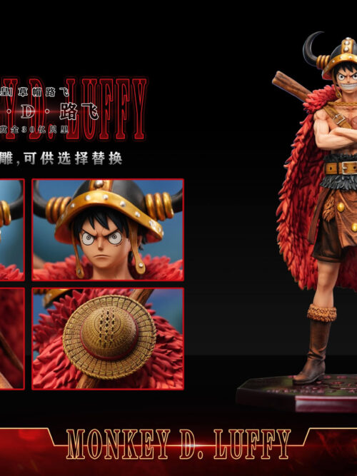 Monkey D. Luffy - Detail View 9