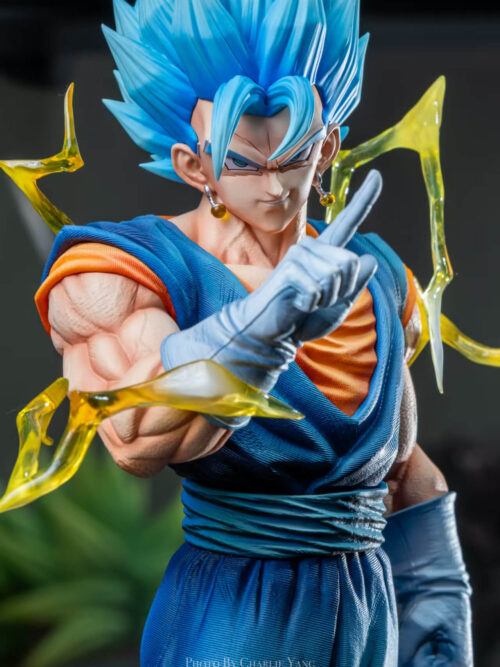 Vegito - Detail View 8