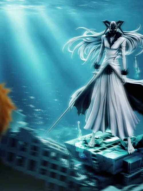 Vasto Lorde Kurosaki Ichigo - Detail View 18