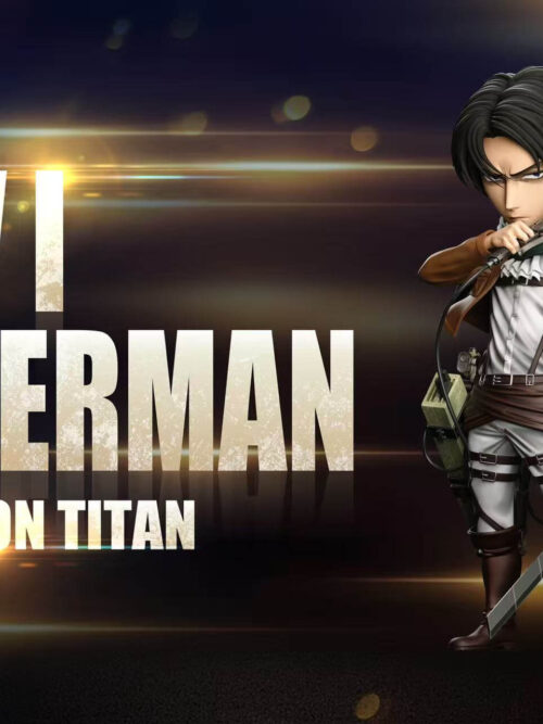 Levi Ackerman - Detail View 4