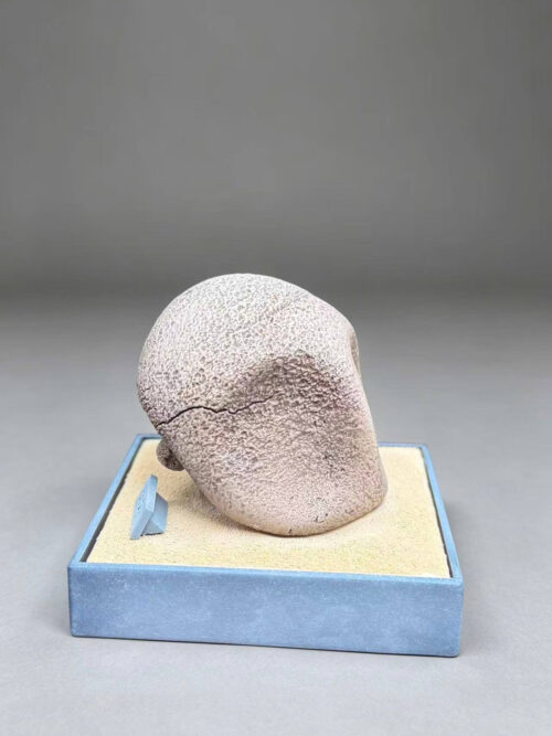 Pokémon Fossil Museum Series Vol. 1 Kabutops and Kabuto - Detail View 4
