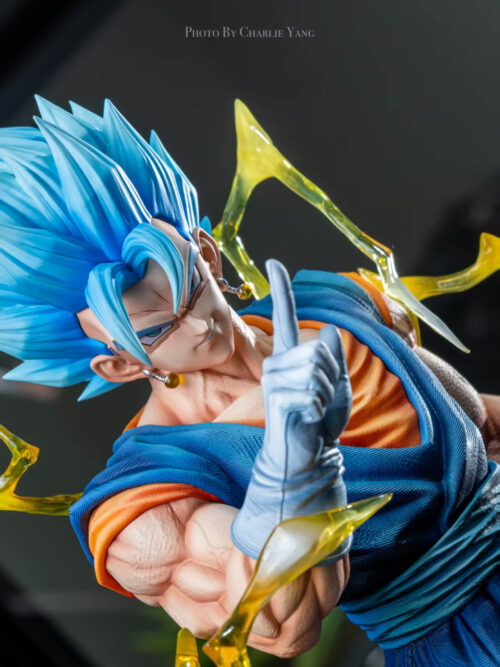 Vegito - Detail View 9