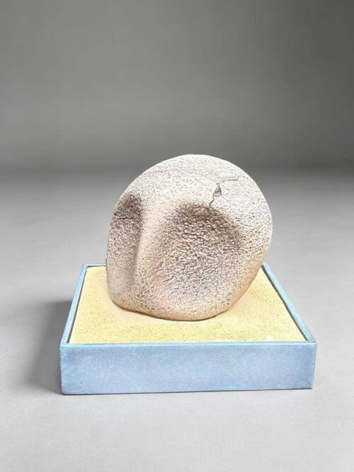 Pokémon Fossil Museum Series Vol. 1 Kabutops and Kabuto - Detail View 5