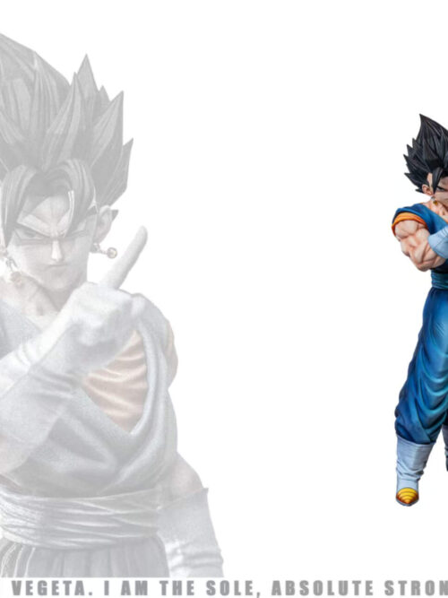Vegito - Detail View 12
